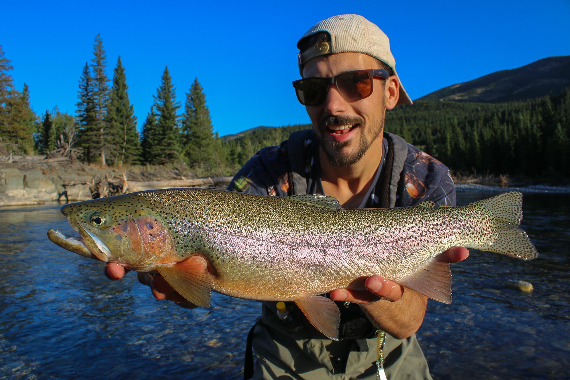Fly fishing in Alberta, Canada Trout & Co