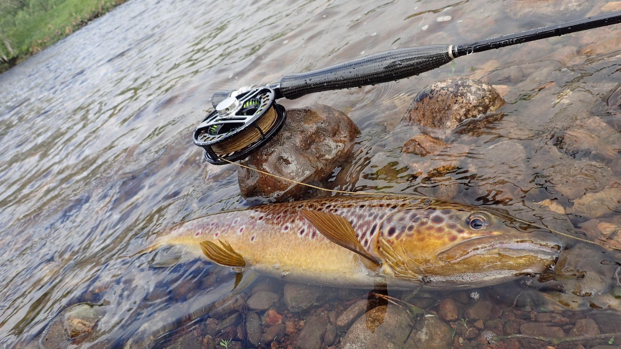Fly fishing in Scotland an easily accessed scenery Trout & Co