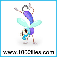 1000 Flies