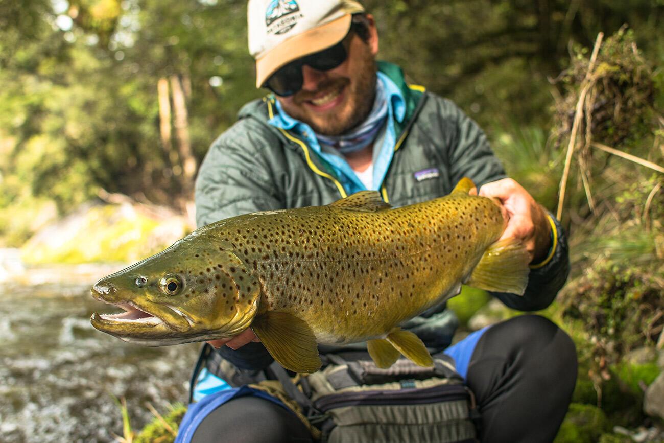 Flyfishing in New Zealand : back to reality