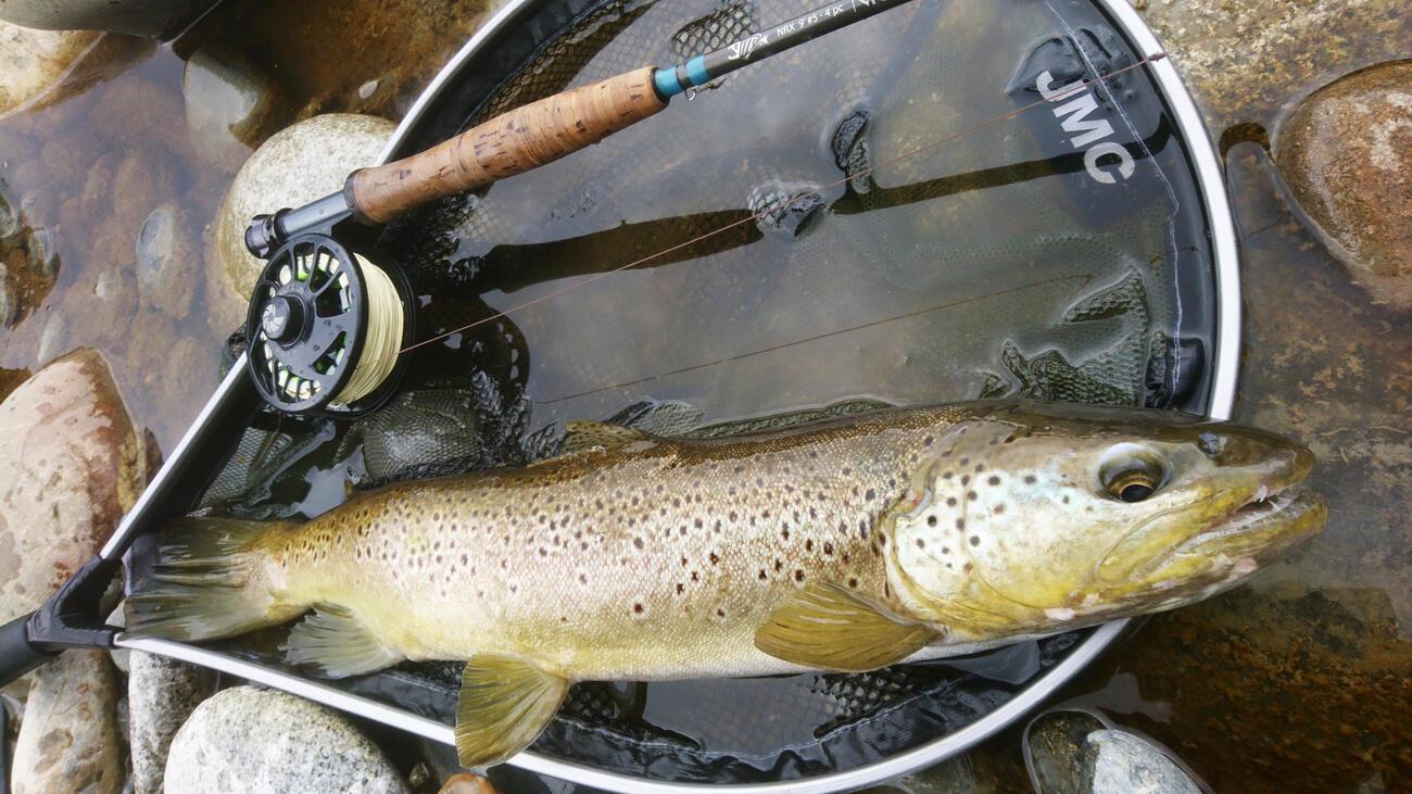 Fly fishing gear to catch large trout Trout & Co