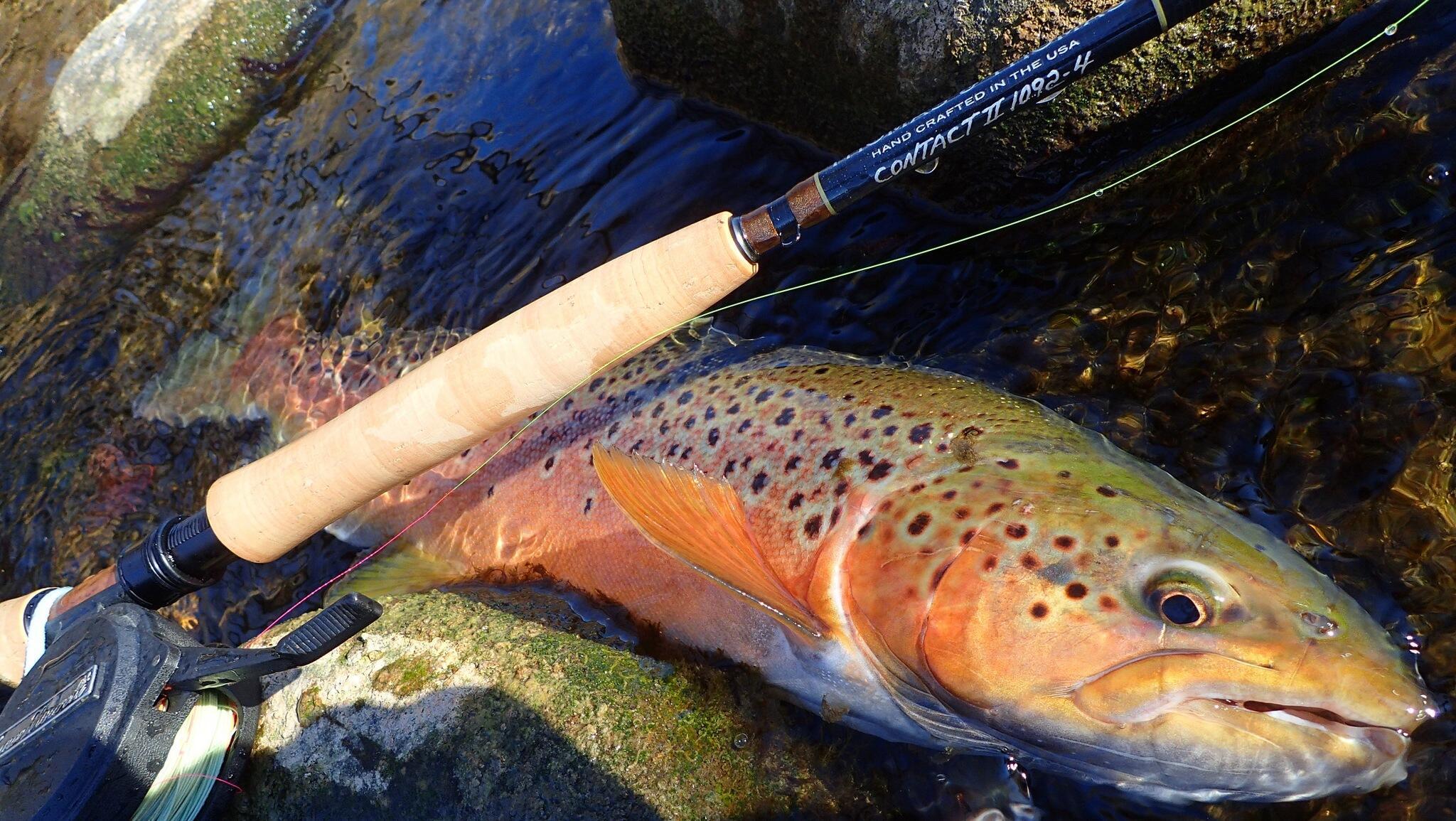 Review Thomas & Thomas Contact II 10'9 2 Trout & Co