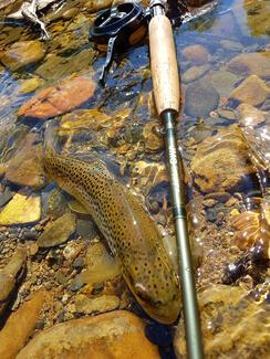 JMC fly rod