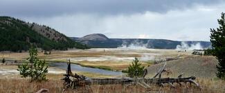 Yellowstone National Park