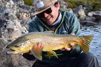 Tasmania brown