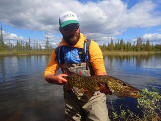 Pêche brochet Laponie