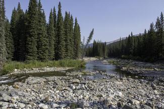 pêche Alberta