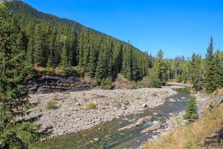 Pêche Alberta