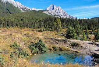 Pêche Alberta