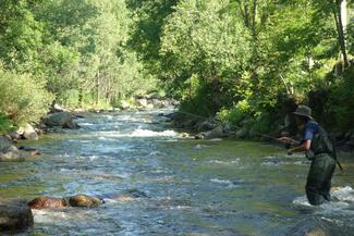 fly fishing trout