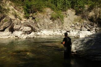 fly fishing trout