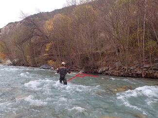 fly fishing trout