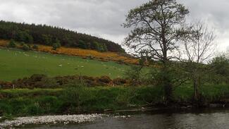 voyage pêche Ecosse