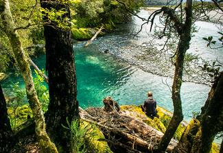 Flyfishing in New Zealand