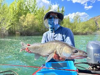 Fly Fishing Spain