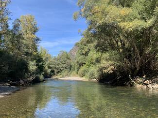 Fly Fishing Spain