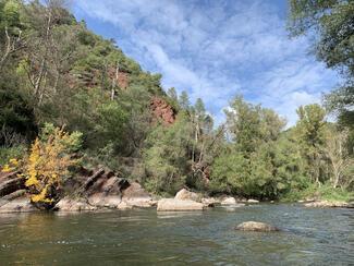 Fly Fishing Spain