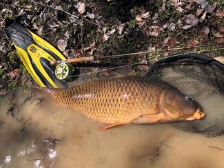 Fly Fishing Spain