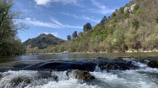 Fly Fishing Asturias