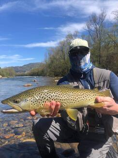 Fly Fishing Asturias