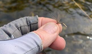 Fly Fishing Asturias