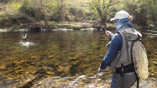 Fly Fishing Asturias