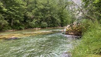 Fly Fishing Asturias