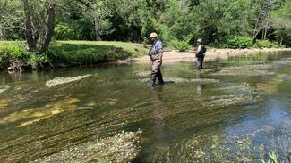 Fly Fishing Asturias