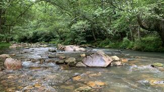 Fly Fishing Asturias