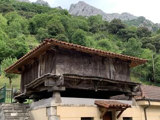 Fly Fishing Asturias