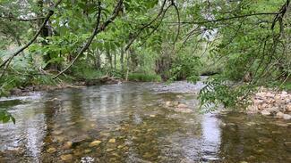 Fly Fishing Asturias