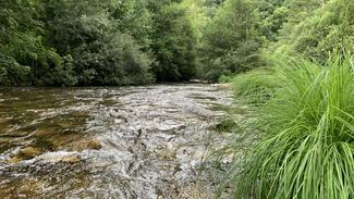 Fly Fishing Asturias