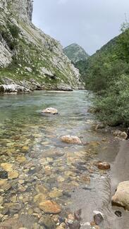 Fly Fishing Asturias